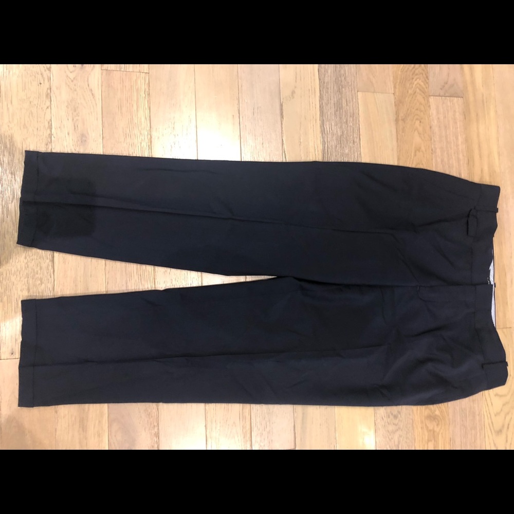 Zara pants. Great for work